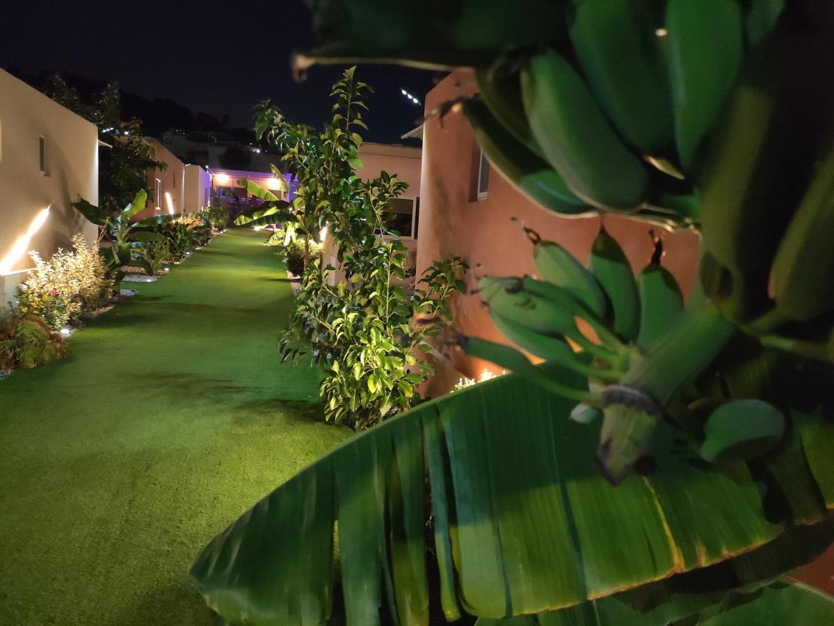 Modular Bungalows With Heated Pool Artemis Greece Kültér fotó